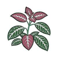Charming Nerve Plant Design vector