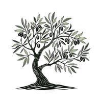 Charming Olive Tree Unique Design vector