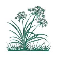 Vibrant Cyperus Papyrus Displayed on White Surface vector