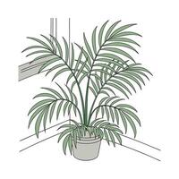 Lively Chamaedorea Elegans Displayed on White vector