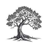 Beautiful Peepul Tree Displayed on Bright White vector