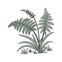 Charming Phlebodium on Bright White Background vector