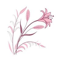 Elegant Pink Quill Plant on Bright White Surface vector