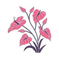 Charming Pink Syngonium Displayed on Clean White vector