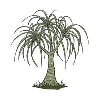 Stunning Ponytail Palm on Clean White Background vector