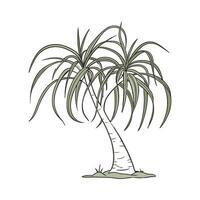 Beautiful Ponytail Palm on Clean White Background vector