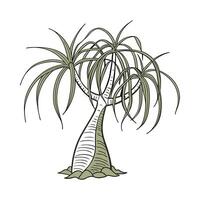Charming Ponytail Palm Plant Unique Design vector