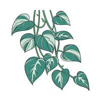 Beautiful Neon Pothos on Clean White Background vector
