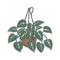 Charming Pothos on Bright White Canvas vector