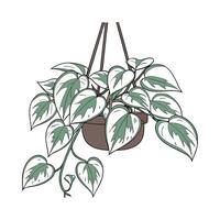 Charming Snow Queen Pothos on Bright White Canvas vector