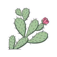 Charming Prickly Pear on Clean White Surface vector