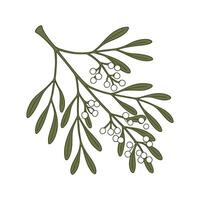 Beautiful Pseudorhipsalis on Clean White Background vector