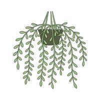 Lush Pseudorhipsalis on Bright White Surface vector