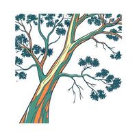 Charming Rainbow Eucalyptus on Clean White Background vector