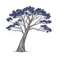 Stunning Eucalyptus Deglupta Displayed on Bright White vector