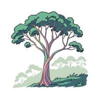 Stunning Rainbow Eucalyptus on Clean White Background vector