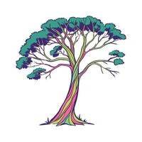 Elegant Rainbow Eucalyptus Plant Unique Design vector
