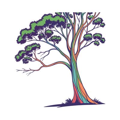 Gorgeous Rainbow Eucalyptus on Clean White Surface