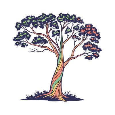 Charming Eucalyptus Deglupta on Bright White Canvas