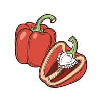 Charming Red Capsicum Pepper Display vector