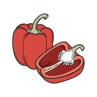 Bright Red Pepper Capsicum Display vector