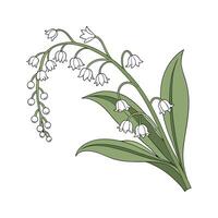 Stylish Rhipsalis Plant Unique Design vector