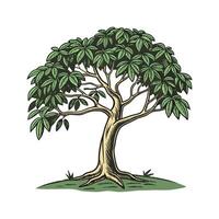 Charming Rubber Tree Illustration vector
