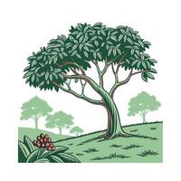 Vibrant Rubber Tree on White vector