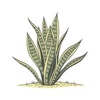 Distinctive Snake Plant Unique Design vector