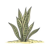 Sophisticated Snake Plant Presentation vector