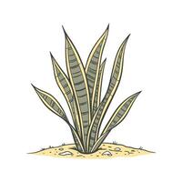 Inviting Snake Plant in Bright Space vector