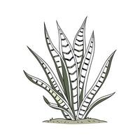 Stylish Sansevieria on Bright Background vector