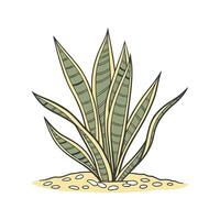 Elegant Trifasciata in Bright Space vector