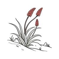 Charming Snow Plant with Clean Aesthetic vector