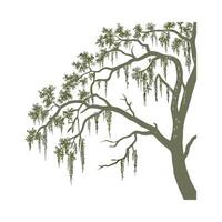 Gorgeous Spanish Moss in Bright Space vector