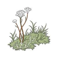 Charming Sphagnum Moss with Clean Look vector