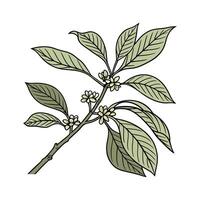 Charming Spicebush with Bright Aesthetic vector