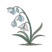 Charming Squill on Clean White Background vector