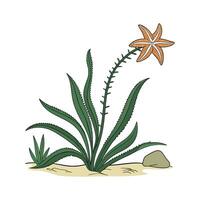 Stylish Starfish Plant on Bright White vector