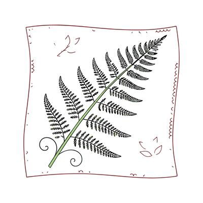 Stylish Stitching Fern Display on White
