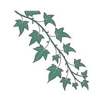 Stylish String of Bananas Display vector