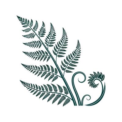 Elegant Stitching Fern in Bright Space