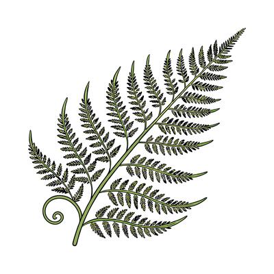Beautiful Stitching Fern on Bright White