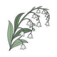 Elegant String of Pearls on Bright White vector