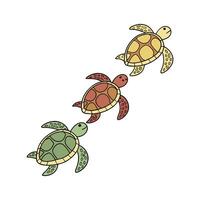Beautiful String of Turtles on Clean White vector