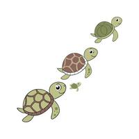 Charming String of Turtles on Clean White vector