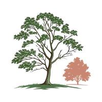 Charming Sugar Maple Display on Bright vector