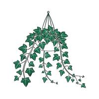 Stylish Swedish Ivy Display on Bright vector