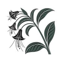 Elegant Tacca Palm in Bright Space vector