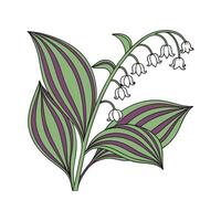 Elegant Tradescantia Zebrina in Bright Space vector